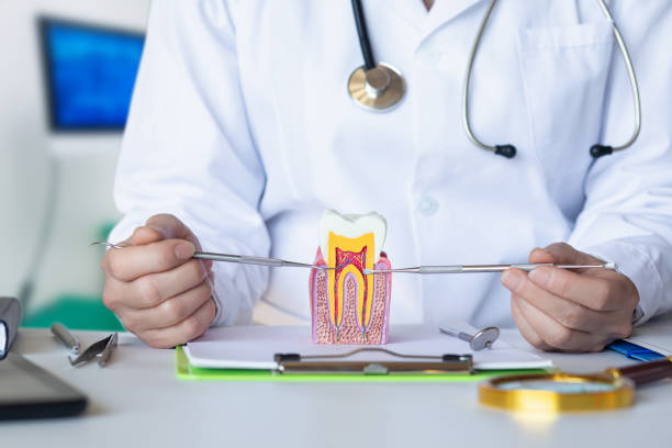 Best Tooth Infection Emergency Dentist  in Harlan, IA